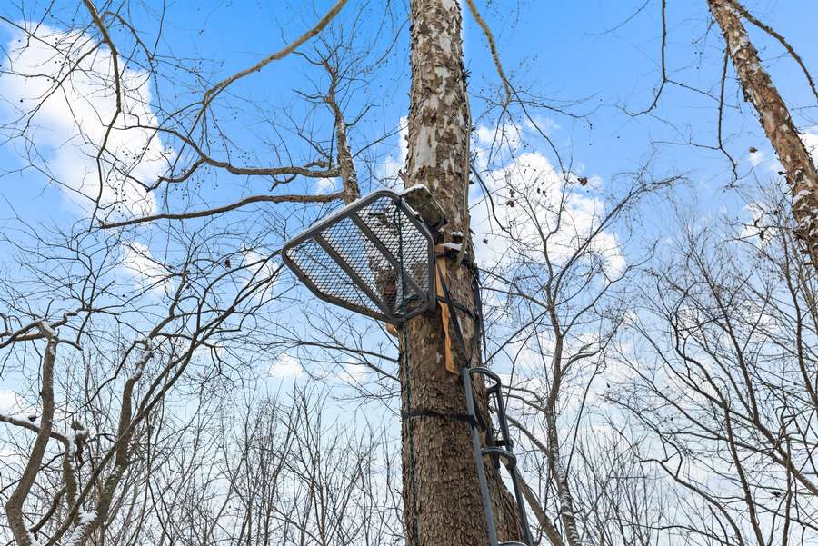 32-0 Waggener Ch-Chalbeate Rd Clay KY 42404_20251203_032.jpg